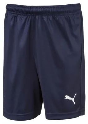 Produktbild von Puma Liga Core Peacoat / Puma White 176 cm