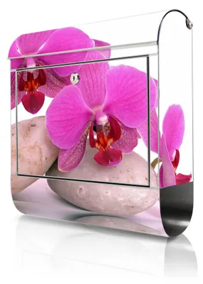 Zdjęcie produktu dla Skrzynka na listy ze stali nierdzewnej firmy banjado, z przegródką na gazety, motyw: orchidea, duża, designerska skrzynka na listy, nierdzewna, otwór na listy formatu A4 [BKGE2 10086]