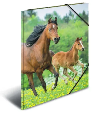 Produktbild von HERMA Zeichenmappen DIN A3 Pferde, 3 St.