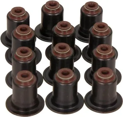 Obrázek produktu pro Sada těsnění, dřík ventilu REINZ 12-36866-01