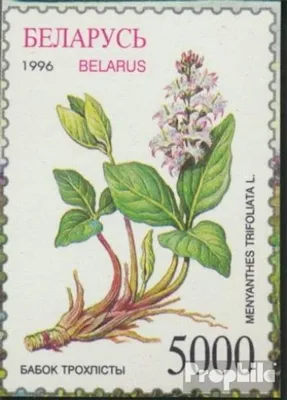 Produktbild von Briefmarken Weißrussland 1996 Mi 162 (kompl.Ausg.) postfrisch Heilpflanzen