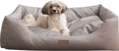 A small dog is lying in a beige dog bed.