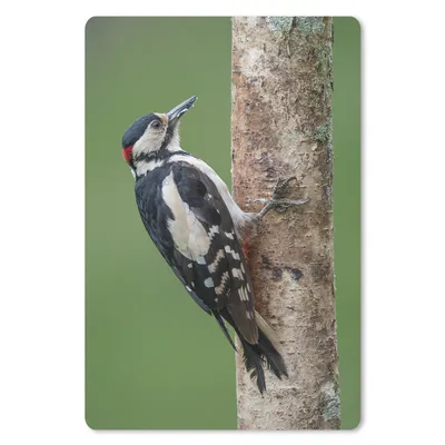 Produktbild von MuchoWow® Mauspad Mousepad Ein Buntspecht klettert auf einen Baum 18x27 cm - Mousepads - Maus Mat - Pad - Mausunterlage