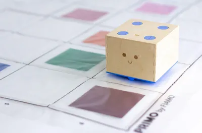 Productafbeelding van Primo Transparante Mat voor robots