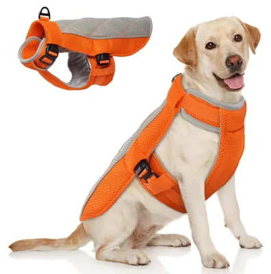 Produktbild von Hundehalsband mit verstellbarem Hals- und Bauchgurt