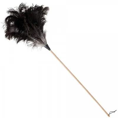 Produktbild von Bürstenhaus Redecker Staubwedel aus echten Straußenfedern (110cm)