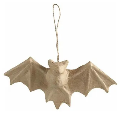 Image de Vleermuis Papier-Mache met Ophangkoord