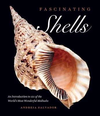 Image de Fascinating Shells
