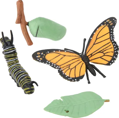 Obrázok produktu pre Insect Model,Insect Toy,Butterfly Model,Animal Model Toy,Simulation Insects,Children Educational Toy