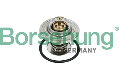Produktbild von Borsehung Thermostat Kühlmittel 71°C für VW GOLF III (1H1) GOLF II (19E, 1G1) Polo Coupe (86C, 80) GOLF III Variant (1H5) Polo Schrägheck (86C, 80)