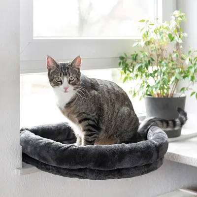 Produktbild von LOVESEAT | Canadian Cat | Anthrazitfarbenes Fensterbankbett