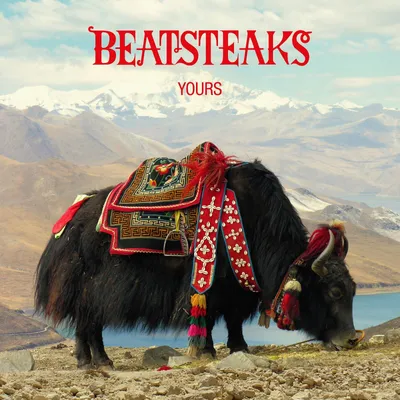 Produktbild von Beatsteaks-Yours