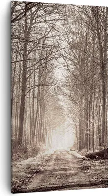 Produktbild von Bild auf Leinwand - Leinwandbild - Wald Straße Baum - 45x80cm - Wand Bild - Wanddeko - Wandbilder - Leinwanddruck - Bilder - Kunstdruck - Wanddekoration - Leinwand bilder - Wandkunst - PA45x80-3620
