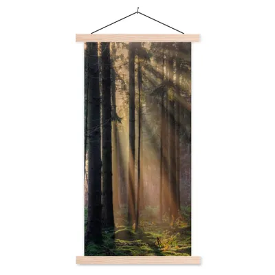 Produktbild von MuchoWow® Textilposter Bäume - Wald - Sonne - Pflanzen 60x120 cm mit holzfarbenen Rahmen - Holz