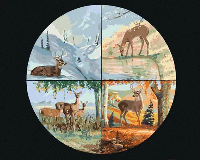 Produktbild von Zuty - Malen nach Zahlen - RICKE UND VIER JAHRESZEITEN (D. RUSTY RUST), 40x50 cm, ohne Keilrahmen