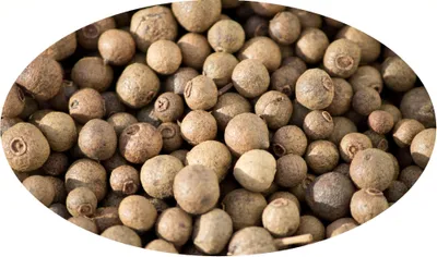 Productafbeelding van Eder Kruiden - Witte peperkorrels - 1 kg