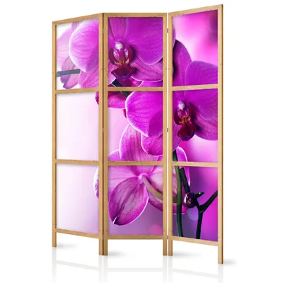 Produktbild von Paravent Blumen Orchidee 135x171 cm - 3-teilig - Deutsches Qualitäts Vlies - Leinwand - eleganter Sichtschutz - Raumteiler - Trennwand - Raumtrenner - Holz - Weiß - Deko - Japan b-B-0400-z-b