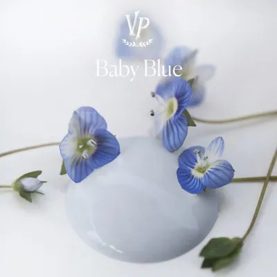 Produktbild von Mat Natural Vintage Paint Kreidefarbe – Möbelfarbe Matt | Wasserbasiert VOC-arm EN 71-3 EU Ecolabel | 65+ Farben | Shabby Chic & Vintage Look - 700 ml - Baby Blau