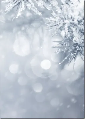Produktbild von Motivpapier Briefpapier (Winter-5180, DIN A4, 100 Blatt) Weihnachten verschneiten Tannenäste