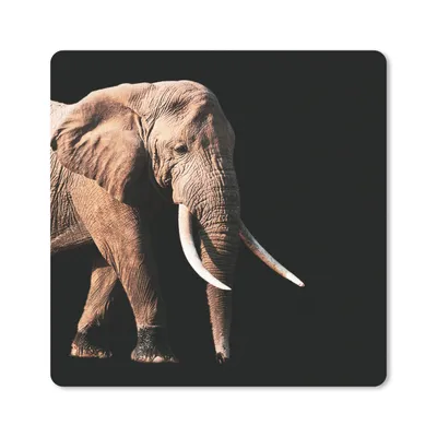 Produktbild von MuchoWow® Mauspad Mousepad Elefant - Zähne - Tiere 30x30 cm - Mousepads - Maus Mat - Pad - Mausunterlage - Gaming