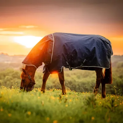 Image de Horseware Amigo Ripstop 900D Plus 200 g - Witney Navy, 115