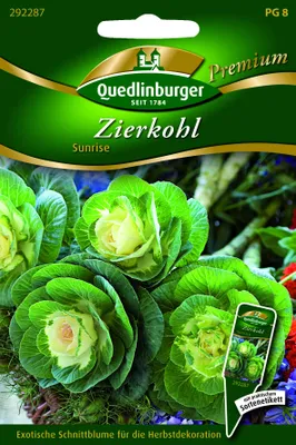 Produktbild von Zierkohl, Sunrise