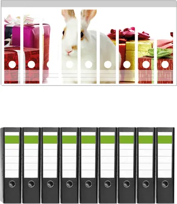 Produktbild von Wallario 9 Stück breite Ordner inkl. Klebeetiketten mit Motive Süßes Kaninchen mit bunten Geschenken -  Set mit Rückenschildern / Ordnerrücken Stickern