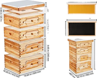 Obrázek produktu pro Startovací sada pro včelí úl, 100% cedr potažený včelím voskem, průhledný akrylový design, 2ZH12
