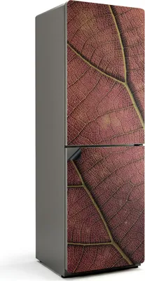 Produktbild von Blattstruktur mit Adern – Magnetische Kühlschrank Abdeckung – Dekorfolie magnetisch Küche – Kühlschrank Magnet Deko – selbstklebende Magnettafel – Magnetfolie für Kühlschranktür – 60x180 cm