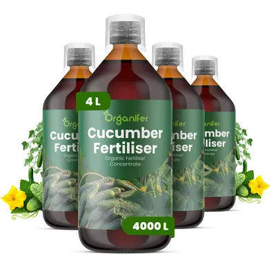 Produktbild von Gurken Dünger 4x1L – 3-4-3 NPK - Flüssigdünger Für Gurken – Für Gesunde Blätter & Üppige Früchte – Fördert Wurzeln & Vitalität – Organifer