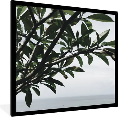 Produktbild von MuchoWow® Gerahmtes Poster Baum - Ast - Meer 40x40 cm - Poster mit Schwarzem Bilderrahmen Wandposter Rahmen Foto Bilder - Mit Rahmen - Wanddekoration Schlafzimmer