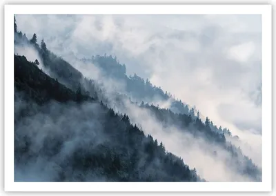 Produktbild von Poster - Poster ohne Rahmen - Berge Nebel Bäume - 100x70 cm - Wand Bild - Wanddeko - Wandbilder - Kunstposter - Wandposter - Bilder - Kunstdruck - Wanddekoration - Wandbild - P2XAA100x70-4429