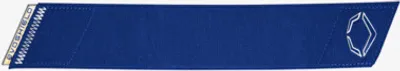 Produktbild von Evoshield WTV573350 Pro SRZ 2.0 Guard Straps Color Royal Baseball/Softball Artikel