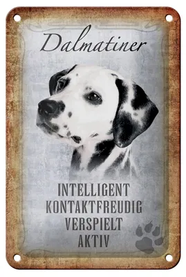 Produktbild von Blechschild Spruch 12x18cm Dalmatiner Hund Schild