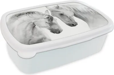 Produktbild von KitchenYeah® Lunchbox Brotzeit Brotdose 17x11 cm Pferd - Tiere - Porträt - Weiß Kinder Brotzeitdose - Lunch Box - Kinder - Sandwich-Box - Schulbox - Lunch Boxen