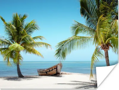 Produktbild von MuchoWow® Poster Palme - Boot - Strand 80x60 cm - Kunst für zu Hause