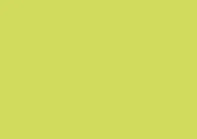 Immagine prodotto di Scheda c6 Polline 210g verde germoglio