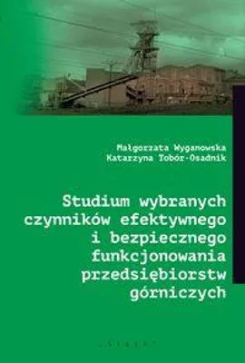 Immagine prodotto di Studium wybranych czynników efektywnego i bezpiecznego funkcjonowania przedsiębiorstw górniczych