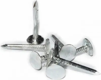 Immagine prodotto di Chiodo per tetti 2,5 x 20 mm zinco