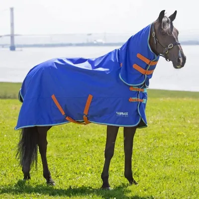 Productafbeelding van Paardendeken Combo - Turnout Deken - Paard Beschermen - Waterdicht Ademend - 6ft0 - Blauw