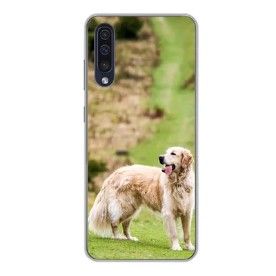 Produktbild von MuchoWow® Handyhülle Schutzhülle Hülle für Samsung Galaxy A50 Schönes Bild eines Golden Retrievers Silikon Softcase Handy Hülle - Mobiltelefonhülle
