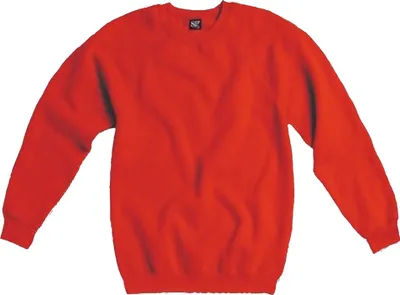 Image de SG SG23 | Sweat-shirt raglan pour homme - couleur : rouge - taille : L