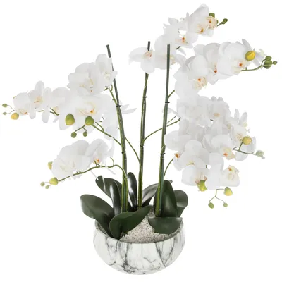 Obrázek produktu pro Umělá orchidej, 65 cm, květináč cementovo-mramorový
