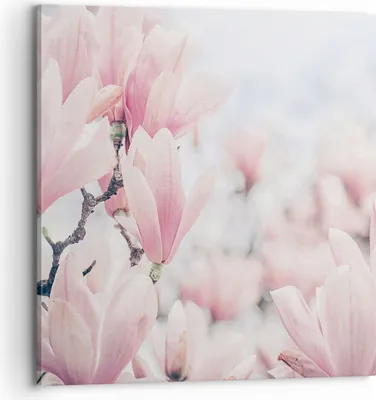 Produktbild von Bild auf Leinwand - Leinwandbild - Einteilig - Magnolie Blumen Rosa - 70x70cm - Wand Bild - Wanddeko - Wandbilder - Leinwanddruck - Bilder - Wanddekoration - Leinwand bilder - Wandbild - AC70x70-4396