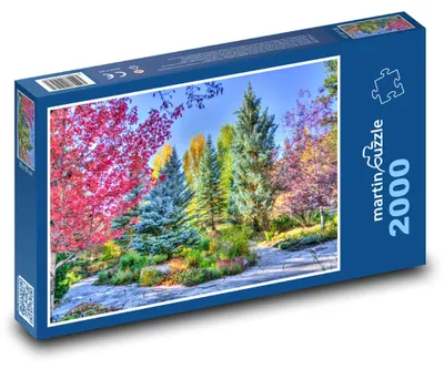 Produktbild von Puzzle 2000 Herbst verzaubert im Wald - martinpuzzle