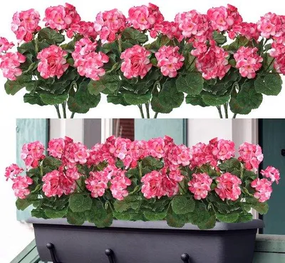 Immagine prodotto di Uniqoos® Set di 3 fiori artificiali – composizioni realistiche, 36 cm, resistenti ai raggi UV, steli flessibili e foglie rigogliose, ideali per la decorazione di interni ed esterni