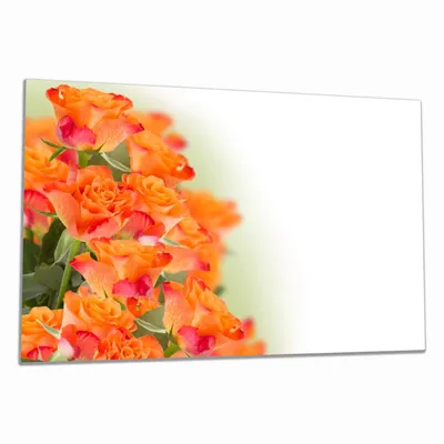 Produktbild von Wallario Herdabdeckplatte aus Glas, Größe 80 x 52 cm 1-teilig, Motiv Orangene Rosenblüten im Strauß