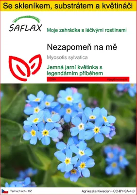 Obrázek produktu pro SAFLAX Kultivační sada - Nezapomeň na mě - Myosotis sylvatica - 150 Semena - S mini skleníkem, pěstebním substrátem a 2 květináči