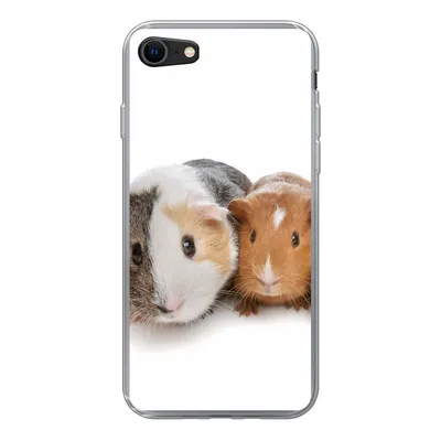 Produktbild von MuchoWow® Handyhülle Schutzhülle Hülle für iPhone SE 2020 Fünf Meerschweinchen Silikon Softcase Handy Hülle - Kartenbesitzer