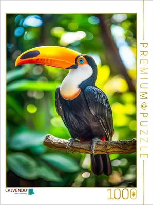 Produktbild von CALVENDO Puzzle RiesenTucan | 1000 Teile Lege-Größe 64x48cm Foto-Puzzle für glückliche Stunden